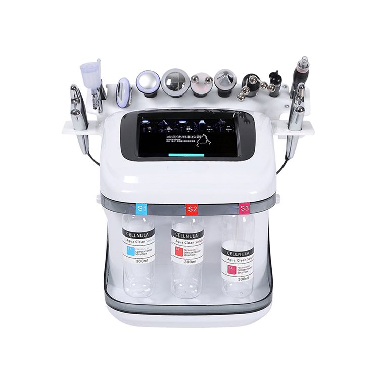10 in 1 bubble hydra skin facial beauty machine facial cleaning hydro oxygen jet microdermabrasion, Model: LB554