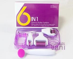 6 in 1 Derma Roller Kit Micro Needle Facial Skin with Cleansing Brush