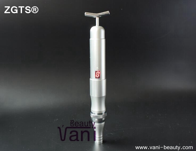ZGTS Micro Skin Needling Pen with Beauty Lifting Face Bar, AU005S